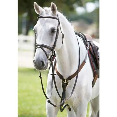 Collier de chasse TATTINI pour chevaux - Élastique en Y avec martingale - Publicité Collier de chasse TATTINI pour chevaux - Élastique en Y avec martingale - Publicité