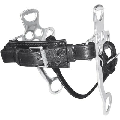 TATTINI Hackamore - Lederriemen TATTINI Hackamore - Lederriemen
