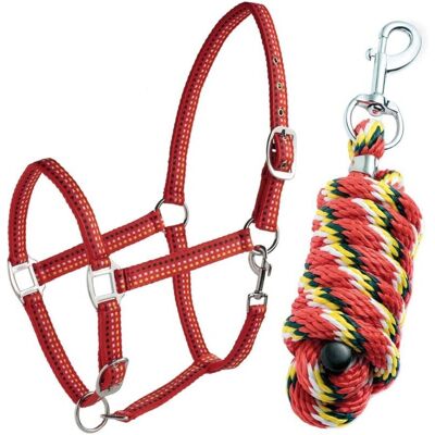 Briglia in nylon imbottito + Guinzaglio di nylon - TATTINI - Rosso - Cob Briglia in nylon imbottito + Guinzaglio di nylon - TATTINI - Rosso - Cob