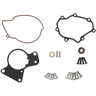 Meat & Doria Vacuüm Pomp Reparatieset - Remsysteem Meat & Doria Vacuüm Pomp Reparatieset - Remsysteem