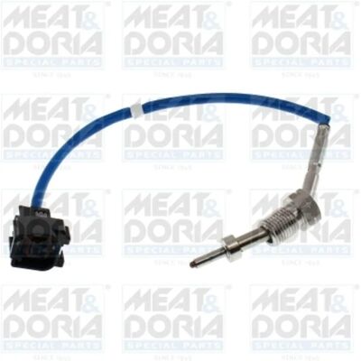 MEAT & DORIA MD12022 Sensor - Abgastemperatur - 340mm Kabel - 2 Kontakte MEAT & DORIA MD12022 Sensor - Abgastemperatur - 340mm Kabel - 2 Kontakte