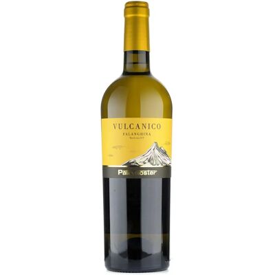 Paternoster Vulcanico Basilicata Falanghina IGT - Wein Paternoster Vulcanico Basilicata Falanghina IGT - Wein