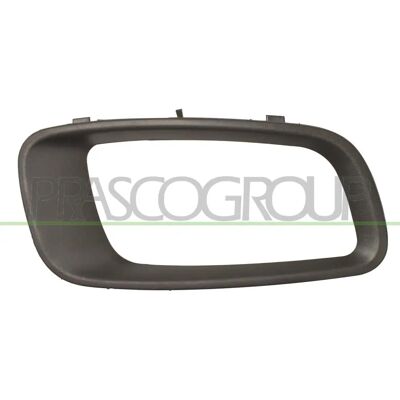 PRASCO MB1591241 - Marco de luz antiniebla derecho para Mitsubishi Pajero PRASCO MB1591241 - Marco de luz antiniebla derecho para Mitsubishi Pajero