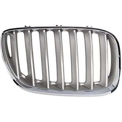 BMW X5 Titan framhöger grill - Kylarram BMW X5 Titan framhöger grill - Kylarram