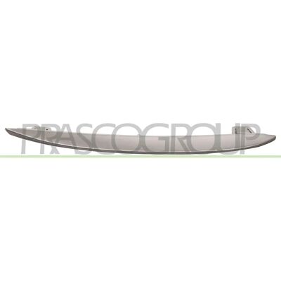 PRASCO BMW Seria 5 Protecție grilă radiator - Piesă auto PRASCO BMW Seria 5 Protecție grilă radiator - Piesă auto