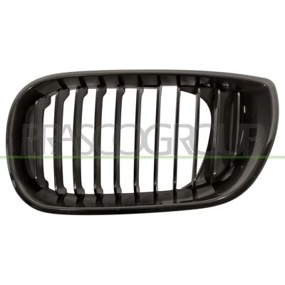 BMW 3er E46 Kühlergrill - Radiatorgrill BMW 3er E46 Kühlergrill - Radiatorgrill