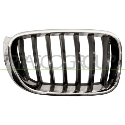 BLIC 6502-07-00939944P Kühlergrill für BMW X3, X4 - Kühlergrill BLIC 6502-07-00939944P Kühlergrill für BMW X3, X4 - Kühlergrill