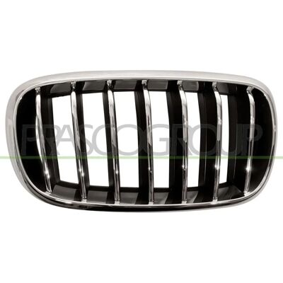 BLIC 6502-07-00969944P Chrome/noir BMW X5 X6 Grille de radiateur BLIC 6502-07-00969944P Chrome/noir BMW X5 X6 Grille de radiateur