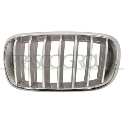 BLIC 6502-07-00969955P Radiator grille - Replacement part for vehicle BLIC 6502-07-00969955P Radiator grille - Replacement part for vehicle