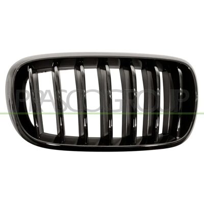 Grade do radiador preta direita para BMW X5 X6 - Radiator Grill Grade do radiador preta direita para BMW X5 X6 - Radiator Grill