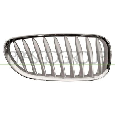 BMW Z4 Rechte Frontgrill - Kühlergrill - Originaldesign BMW Z4 Rechte Frontgrill - Kühlergrill - Originaldesign