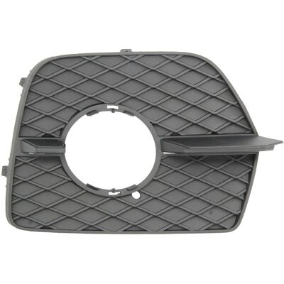 PRASCO BM8402114 - Grila pentru bara fata BMW X6 PRASCO BM8402114 - Grila pentru bara fata BMW X6