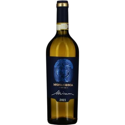 Verdicchio di Matelica Riserva 2019 - Vino Bianco Verdicchio di Matelica Riserva 2019 - Vino Bianco