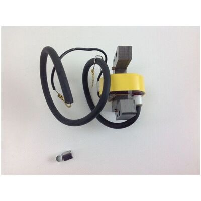 Briggs & Stratton - 298968 - Bobina de encendido para cortacésped Briggs & Stratton - 298968 - Bobina de encendido para cortacésped