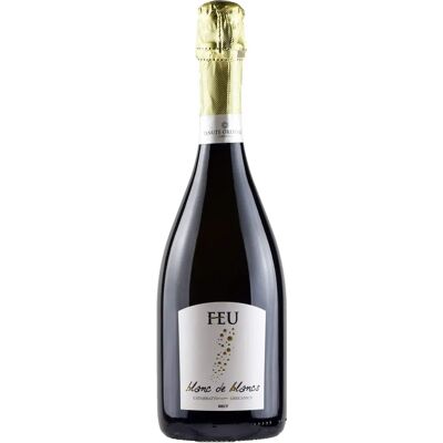 Orestiadi Feu Spumante Blanc de Blancs Brut - Vino spumante Orestiadi Feu Spumante Blanc de Blancs Brut - Vino spumante