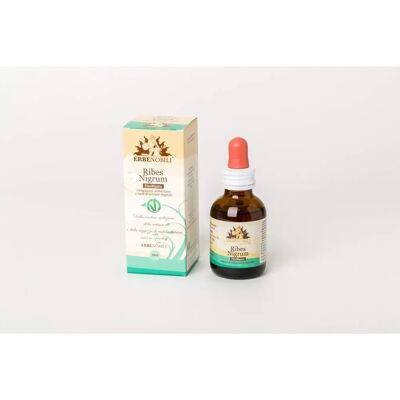 Extracto de grosella negra glicerinado - Suplemento alimenticio Extracto de grosella negra glicerinado - Suplemento alimenticio