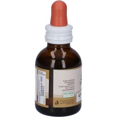 Erbenobili Alnus glutinosa Black Alder Bud - Dietary Supplement Erbenobili Alnus glutinosa Black Alder Bud - Dietary Supplement
