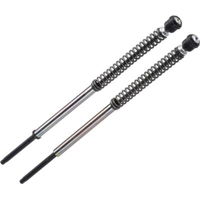 Bitubo - JBH1 - Harley XL 120 - Black oil-free ring - Fork cartridge Bitubo - JBH1 - Harley XL 120 - Black oil-free ring - Fork cartridge