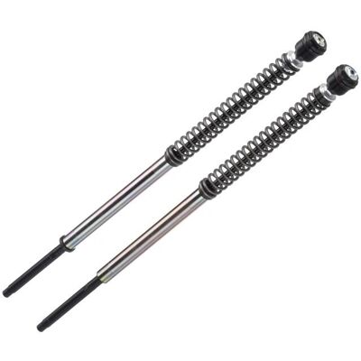 Bitubo JBH1 Fork Cartridges - Fork cartridges for Harley V-Rod Bitubo JBH1 Fork Cartridges - Fork cartridges for Harley V-Rod