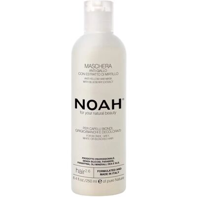 Noah Model 250ml - Anti Yellow Hair Mask with Blueberry Extract Noah Model 250ml - Anti Yellow Hair Mask with Blueberry Extract