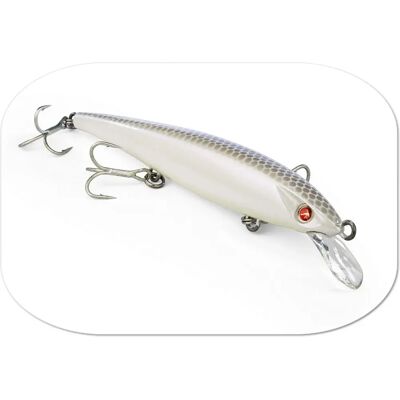 Seaspin Eja 100 Minnow Flotante Lento - Cebo de Pesca Seaspin Eja 100 Minnow Flotante Lento - Cebo de Pesca