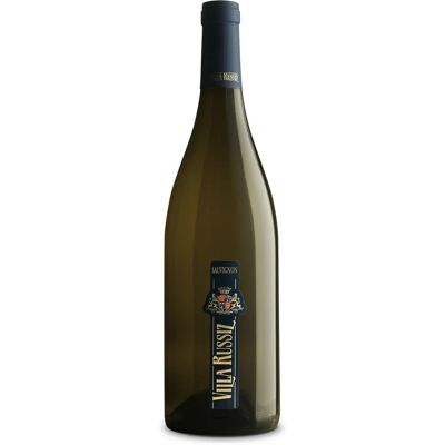 Villa Russiz - Sauvignon - 2022 - DOC Collio - Vino Villa Russiz - Sauvignon - 2022 - DOC Collio - Vino