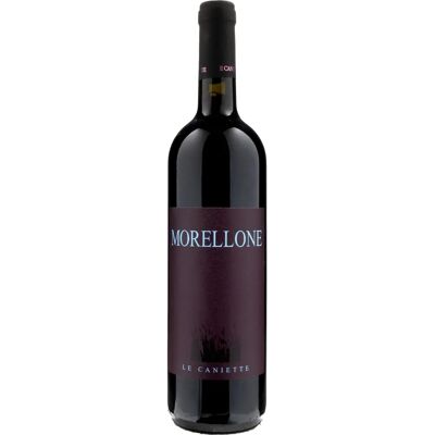 Le Caniette Morellone 2019 - Wein Le Caniette Morellone 2019 - Wein