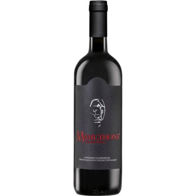 Giuseppe Sedilesu Sartiu Cannonau di Sardegna DOC 2021 - Vino Rosso Giuseppe Sedilesu Sartiu Cannonau di Sardegna DOC 2021 - Vino Rosso