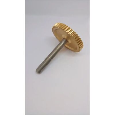 CAME 119RIE141 Eje Lento para Motor V700 - Repuesto para Automatismo de Garaje CAME 119RIE141 Eje Lento para Motor V700 - Repuesto para Automatismo de Garaje