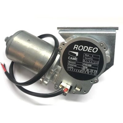 CAME 119RIP119 Getriebemotor für Türen - RODEO 1 & 2 CAME 119RIP119 Getriebemotor für Türen - RODEO 1 & 2