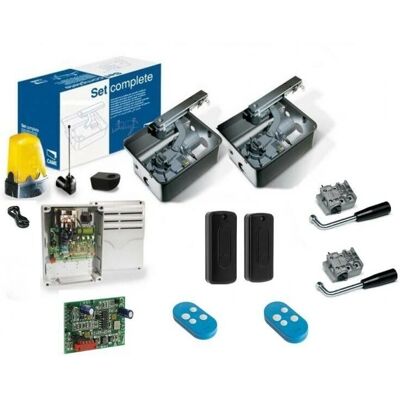 CAME - Frog-AE 230V 8K01MI-005 - 800 kg - 2 m - Kit d'Automatisation de Portails - Publicité CAME - Frog-AE 230V 8K01MI-005 - 800 kg - 2 m - Kit d'Automatisation de Portails - Publicité