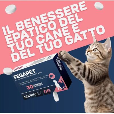 Suprapet Fegapet 30 compresse - Integratore Suprapet Fegapet 30 compresse - Integratore