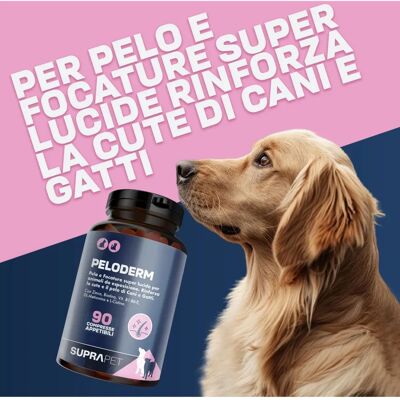 Suprapet Peloderm 90 Integratori - Supporto cute e pelo Suprapet Peloderm 90 Integratori - Supporto cute e pelo
