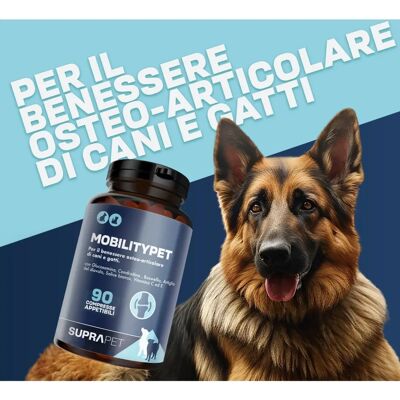 Suprapet Mobilitypet 90 compresse Integratore per Animali - Supporto articolare Suprapet Mobilitypet 90 compresse Integratore per Animali - Supporto articolare
