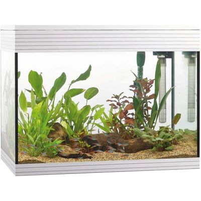 ASKOLL PureWhite LED Aquarium - 68L, Filter, Verwarming, Timer ASKOLL PureWhite LED Aquarium - 68L, Filter, Verwarming, Timer