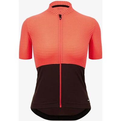Maglia Santini Riga a Maniche Corte - Traspirante, Taglio Italiano Maglia Santini Riga a Maniche Corte - Traspirante, Taglio Italiano