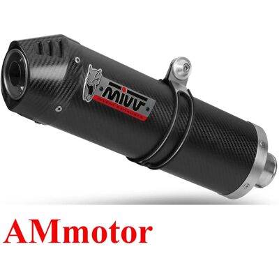 Sistema di scarico ovale in carbonio Mivv - Suzuki GSF 650, GSX 650 F, 2007-2015 Sistema di scarico ovale in carbonio Mivv - Suzuki GSF 650, GSX 650 F, 2007-2015