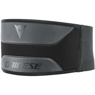 Fascia Lombare Dainese Low 2XL - Unisex Nero Fascia Lombare Dainese Low 2XL - Unisex Nero