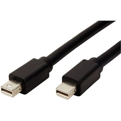 Câble Mini DisplayPort 2m Techly - Noir - DisplayPort 1.4 - Publicité Câble Mini DisplayPort 2m Techly - Noir - DisplayPort 1.4 - Publicité