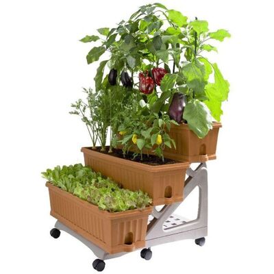 Kit Giardino Bama - 3 Fioriere con Carrello - Orto Verticale & Tradizionale Kit Giardino Bama - 3 Fioriere con Carrello - Orto Verticale & Tradizionale