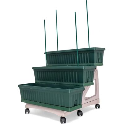 Frankystar Orto Easy - Juego de 3 Macetas 80cm - Kit de Jardinería Frankystar Orto Easy - Juego de 3 Macetas 80cm - Kit de Jardinería