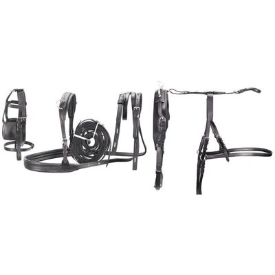 AMAHORSE - SE00570C - Schwarz - Pony - Horse tack AMAHORSE - SE00570C - Schwarz - Pony - Horse tack