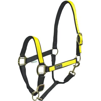 Umbria Equitazione CA00021 - Halter violet - Horse Halter - Publicité Umbria Equitazione CA00021 - Halter violet - Horse Halter - Publicité