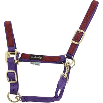 Umbria Equitazione CA00021 - Halfter violet - Horse Halter - Publicité Umbria Equitazione CA00021 - Halfter violet - Horse Halter - Publicité