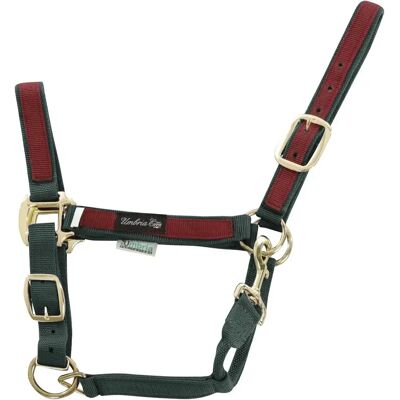 Umbria Equitazione CA00021 - Halter en nylon - Vert - L - Publicité Umbria Equitazione CA00021 - Halter en nylon - Vert - L - Publicité