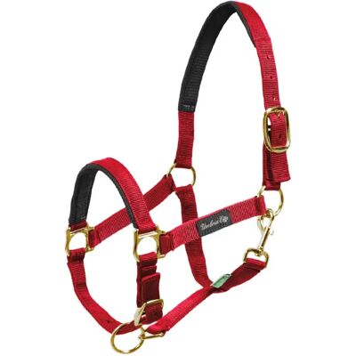 Umbria Equitazione CA00022 Halter pour chevaux - Rouge - Publicité Umbria Equitazione CA00022 Halter pour chevaux - Rouge - Publicité