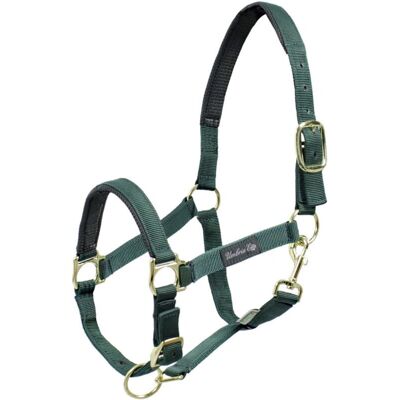 Umbria Equitazione CA00022 Halter rouge - Horse Halter - Publicité Umbria Equitazione CA00022 Halter rouge - Horse Halter - Publicité