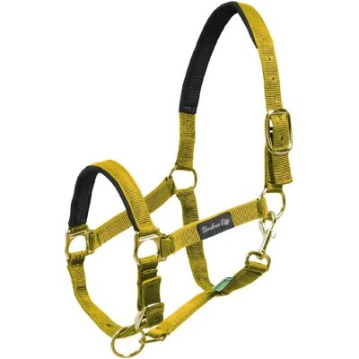 Umbria Equitazione CA00022 Jaune Équipement d'équitation - Équipement pour chevaux - Publicité Umbria Equitazione CA00022 Jaune Équipement d'équitation - Équipement pour chevaux - Publicité