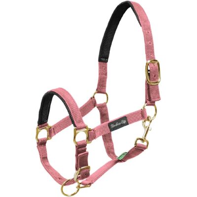 Umbria Equitazione CA00022 - Licol - Rose - Publicité Umbria Equitazione CA00022 - Licol - Rose - Publicité