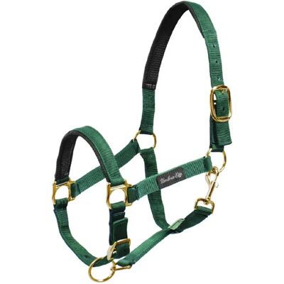 Umbria Equitazione CA00022 Halte pour cheval - Vert - L - Publicité Umbria Equitazione CA00022 Halte pour cheval - Vert - L - Publicité